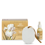 Medallion for Drawers and Wardrobe White Iris